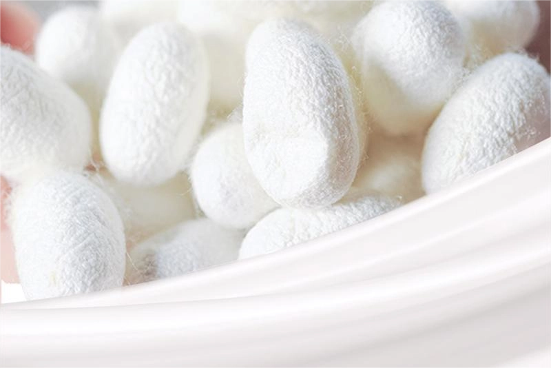 The Complete Guide to Mulberry Silk